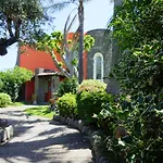 Stefania Konukevi Barano dʼIschia